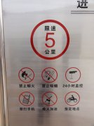 P䓸g